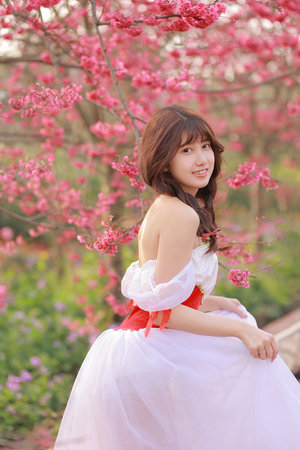 秋霞电影网视频一区二区三区