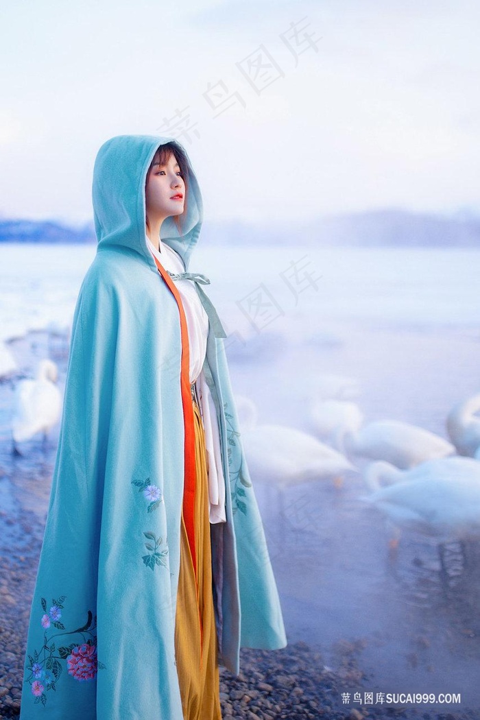 黄动漫车车好快的车车双女主