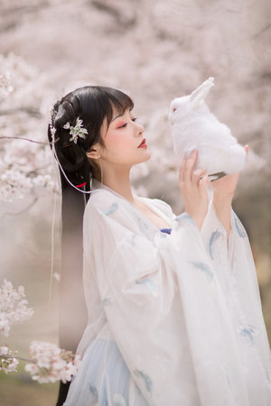 野兽家族第一季