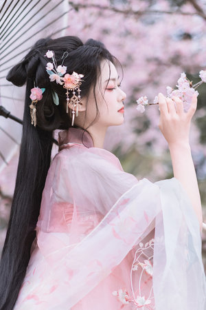 大唐荣耀电视剧全集免费