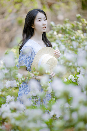 视频成人永久免费下载