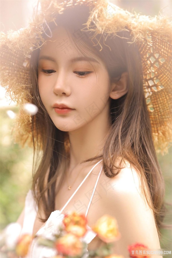 新版风车动漫入口