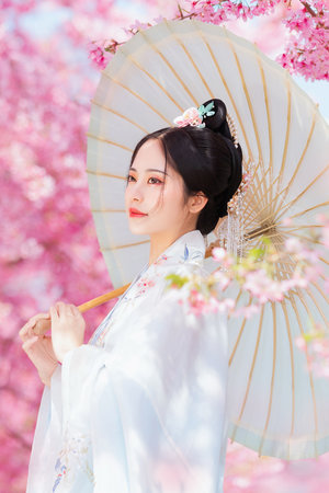 无码AV片免费不卡