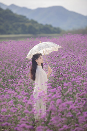 x战警3迅雷下载