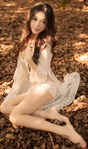 训练篮球体育犬gb