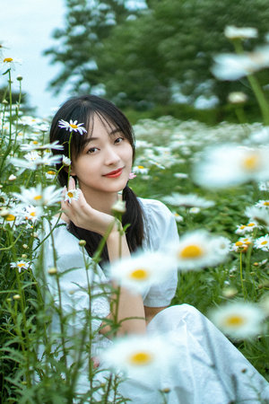 免费在线日本视频