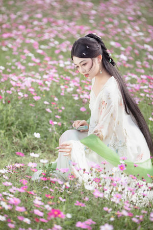 精品区一一区二二在线