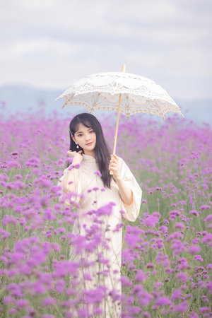 深宫谍影电视剧